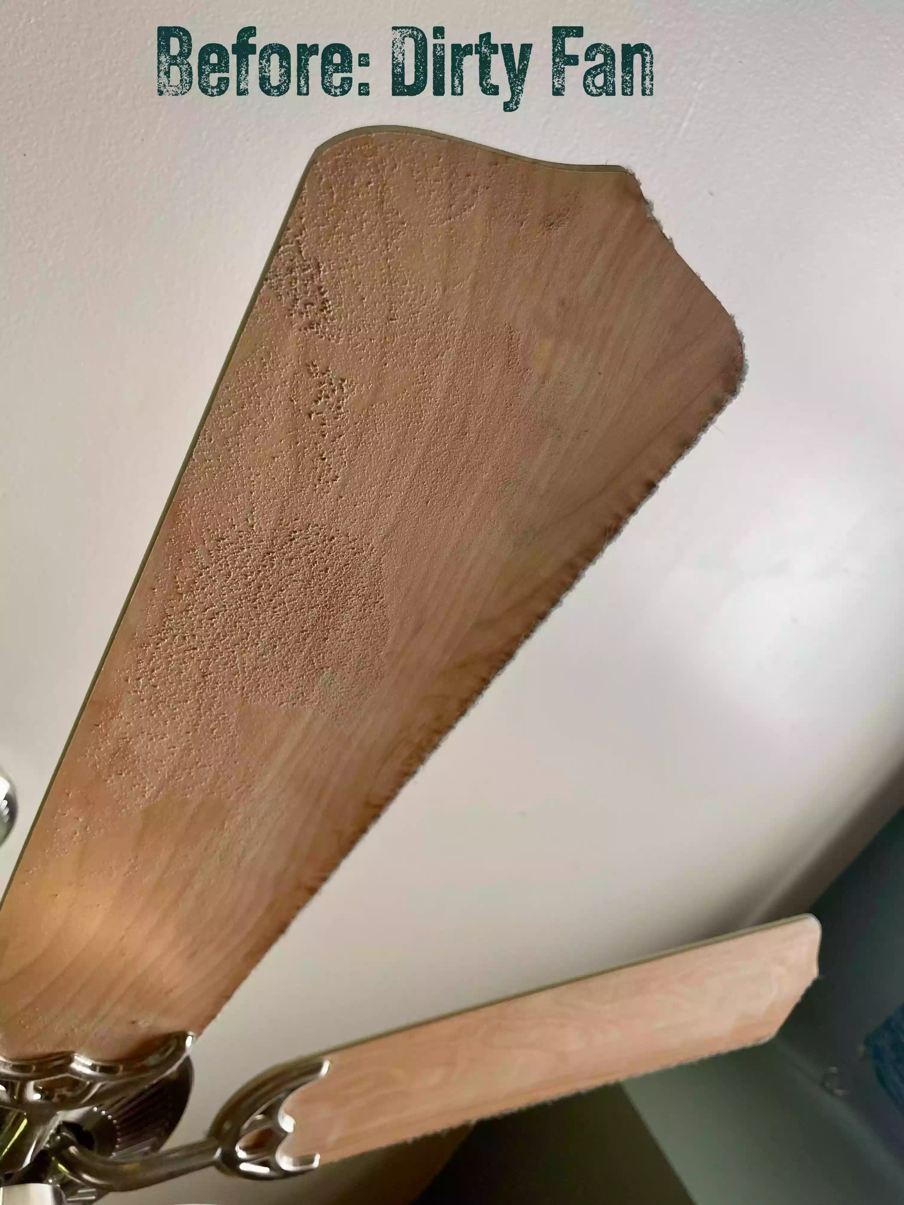 Dirty ceiling fan blades showing dust and dirt